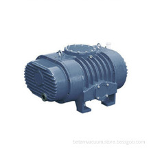 Roots Vacuum Pump For The Heavy Industry